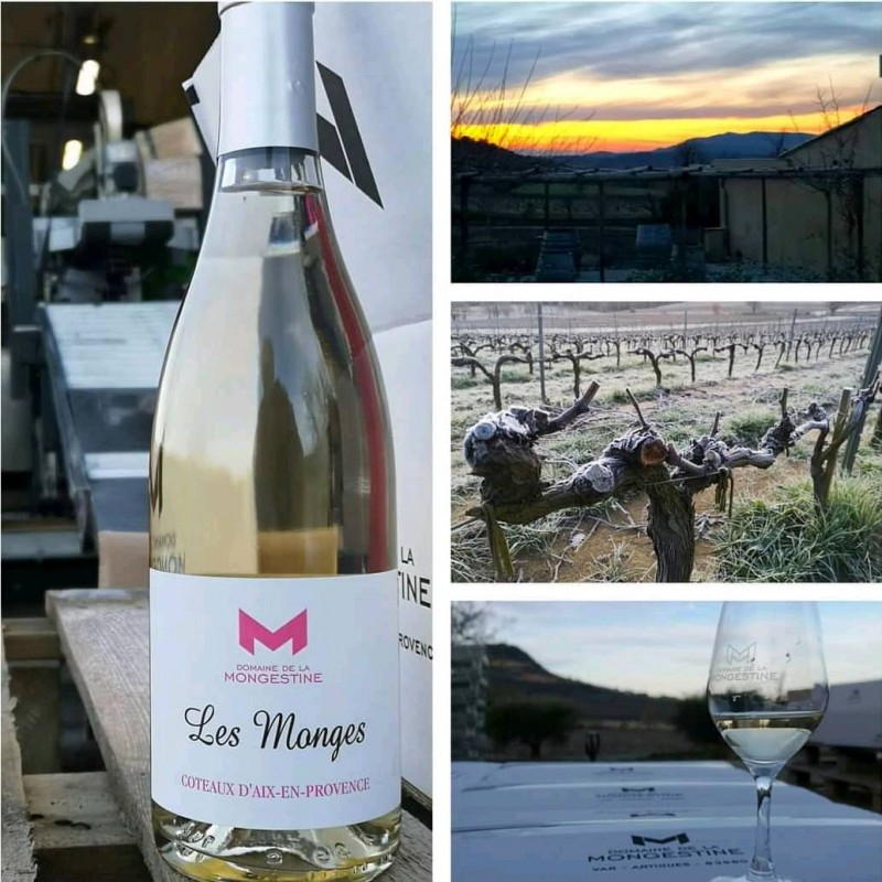 Événement dégustation Domaine de la Mongestine Samedi 19 septembre -16h-19h